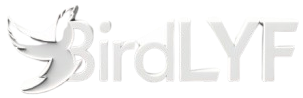BirdLyf Logo